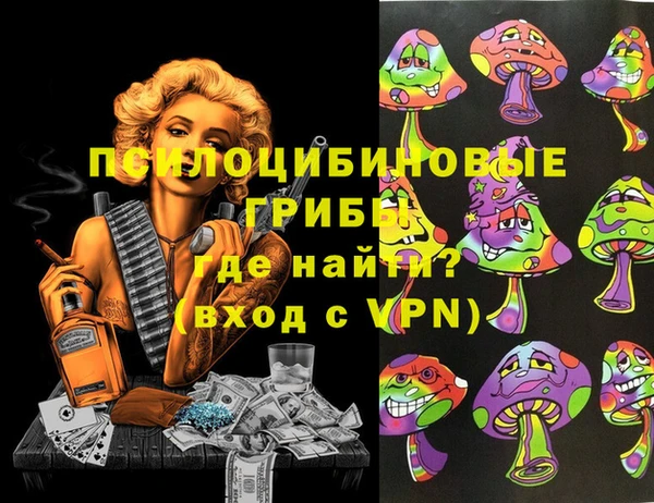 ешки Алзамай