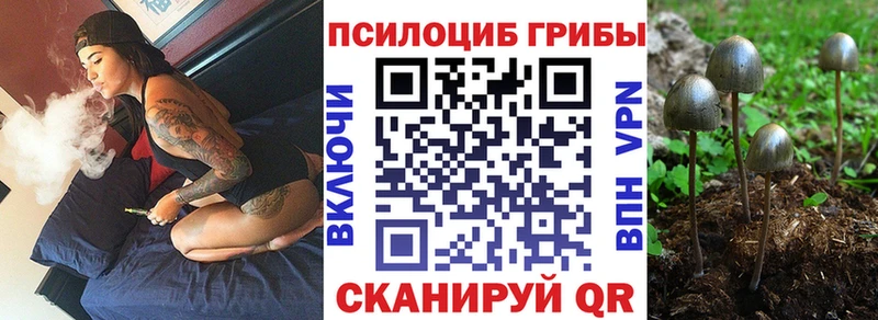 Псилоцибиновые грибы GOLDEN TEACHER  Правдинск 